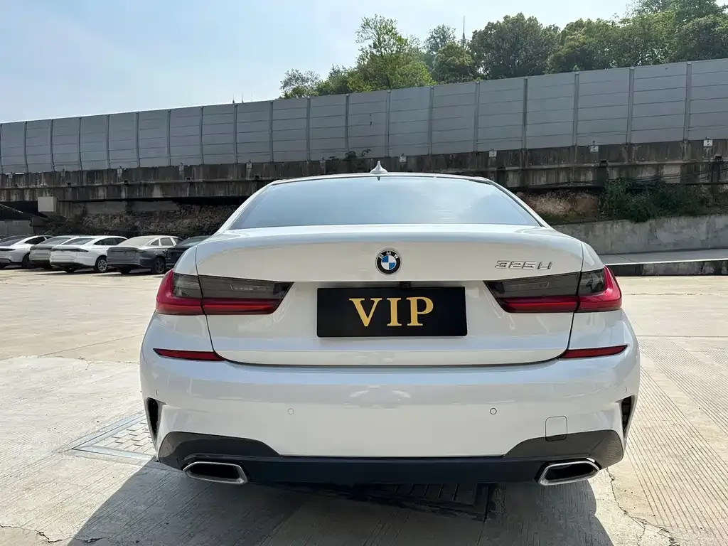 BMW 3 Series 2021 из CN, фото 3