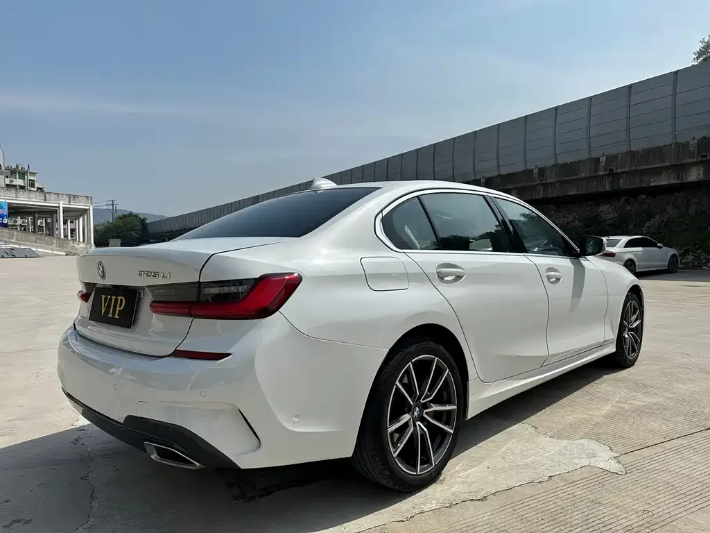 BMW 3 Series 2021 из CN, фото 6
