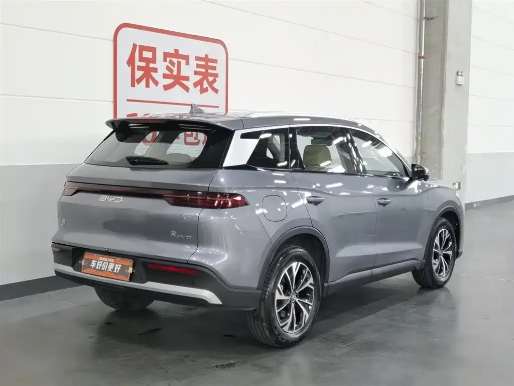 BYD Pro New Energy — фото 7