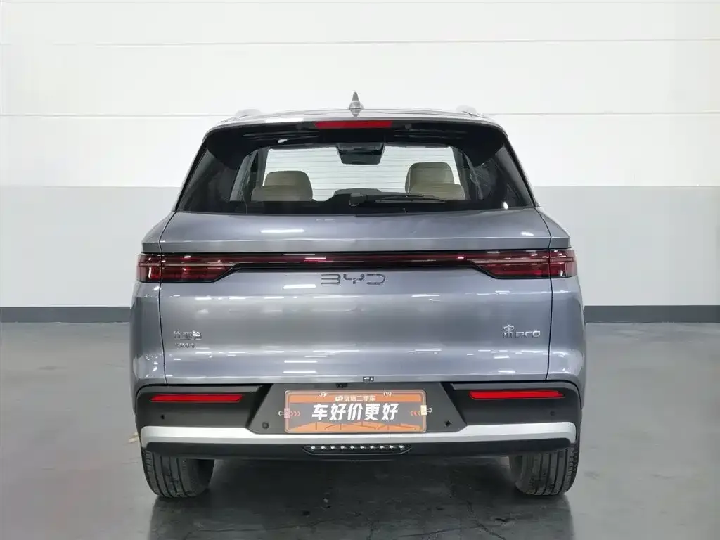 BYD Pro New Energy — фото 2