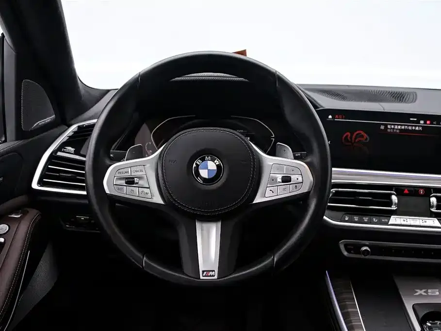 BMW X5 — фото 5