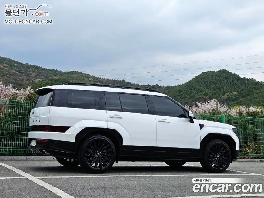 Hyundai Santafe 2024 из KR, фото 6
