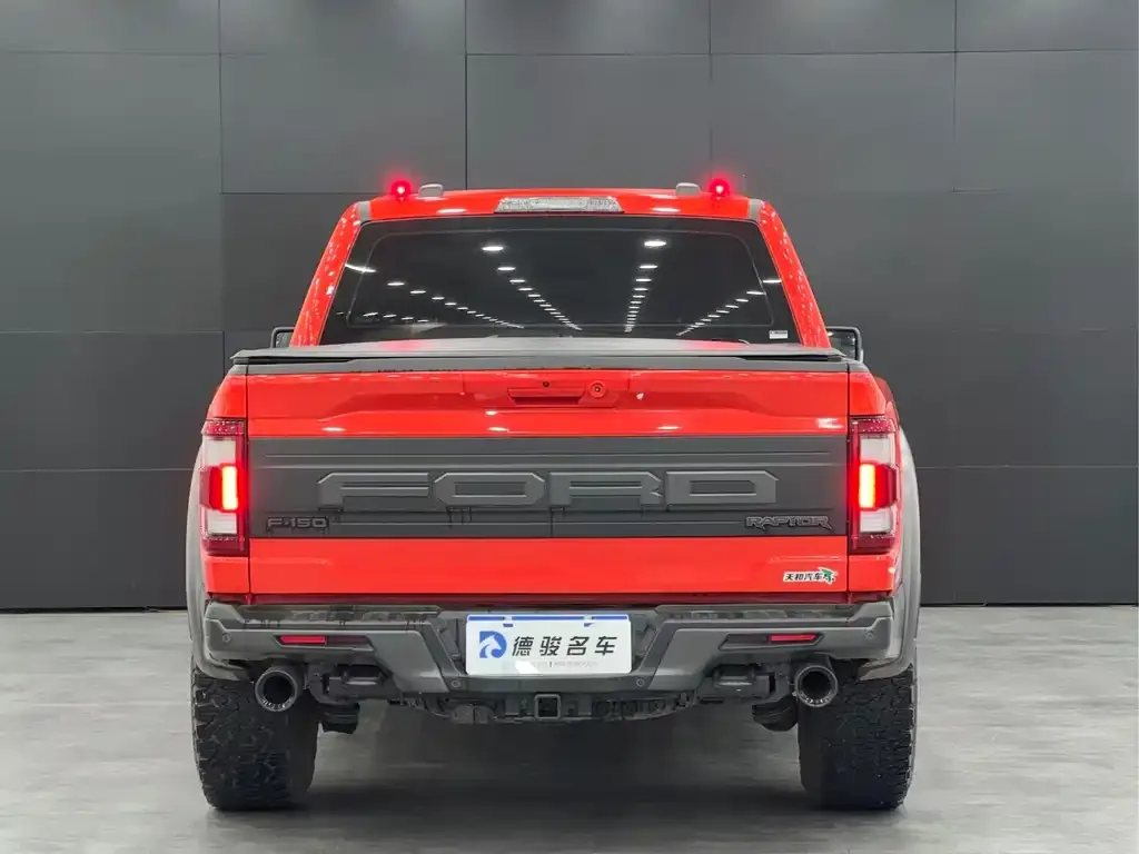 Ford F-150 Raptor 2024 из CN, фото 2