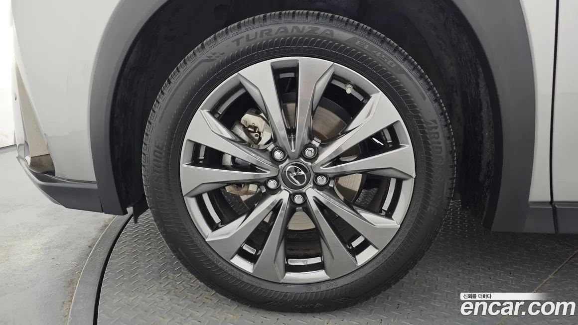 Lexus UX 2021 из KR, фото 9