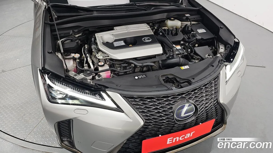 Lexus UX 2021 из KR, фото 8