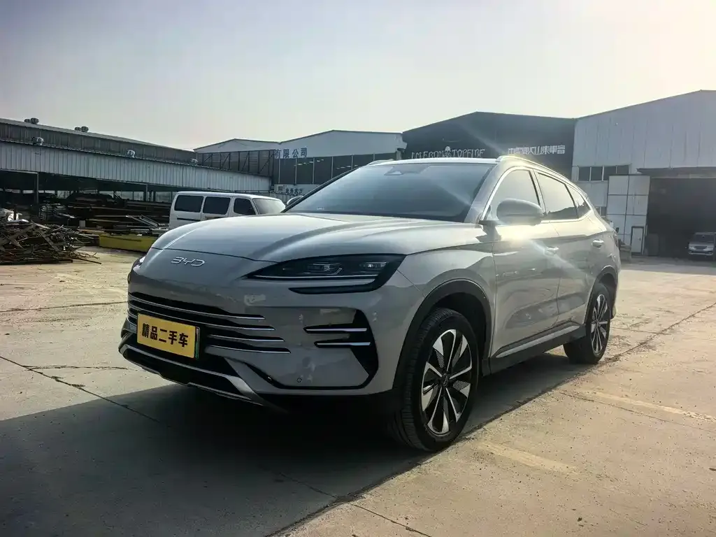 BYD PLUS New Energy — фото 1