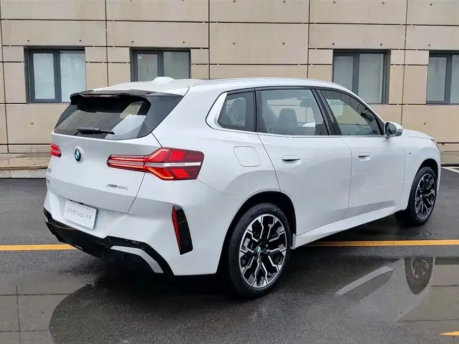 BMW X3 2025 из CN, фото 6