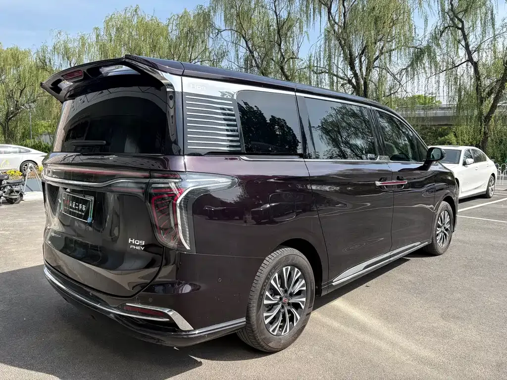Hongqi HQ9 PHEV — фото 7