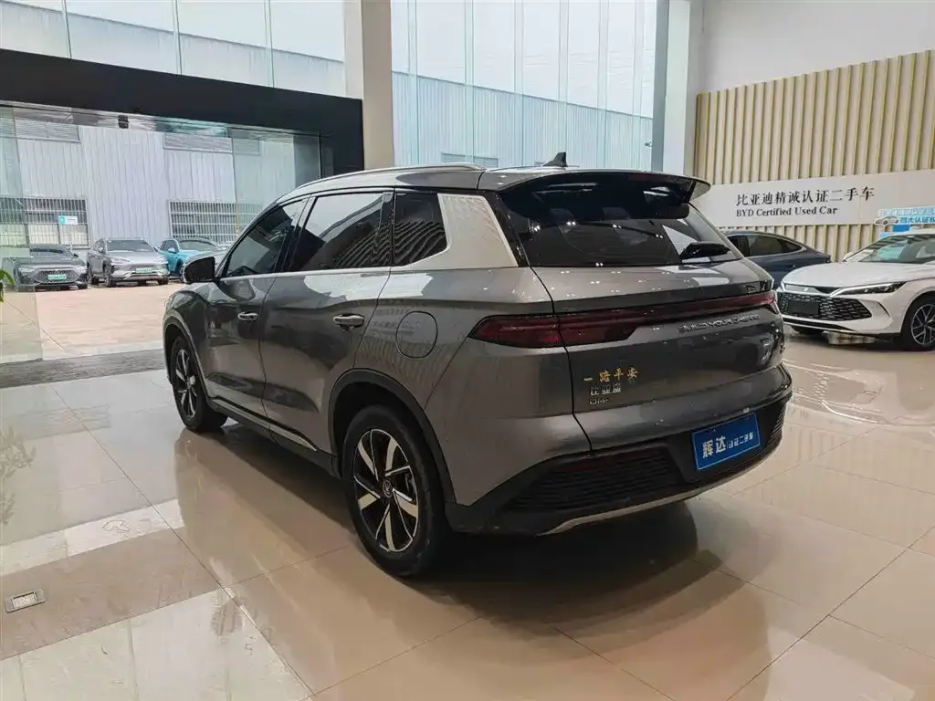 BYD Pro New Energy — фото 8