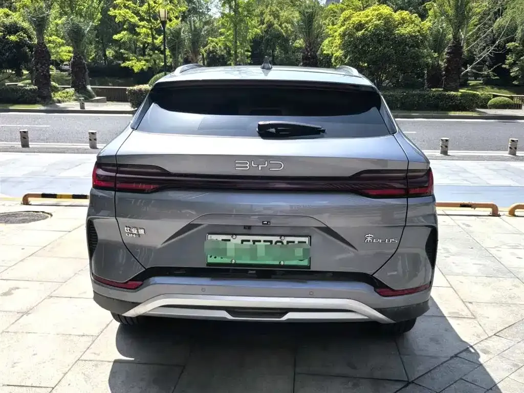 BYD PLUS New Energy 2024 из CN, фото 6