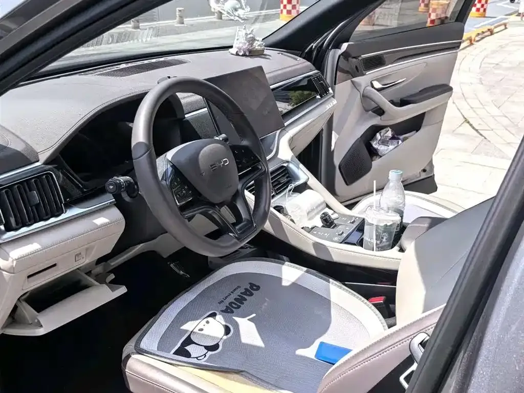 BYD PLUS New Energy 2024 из CN, фото 4