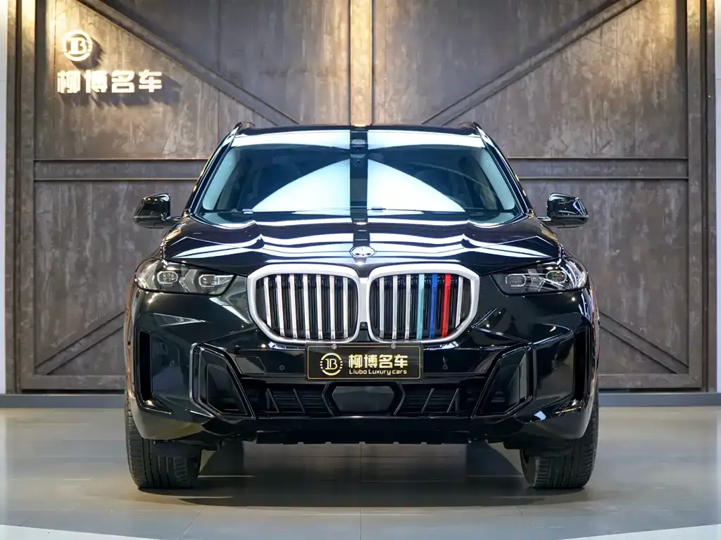 BMW X5 — фото 7