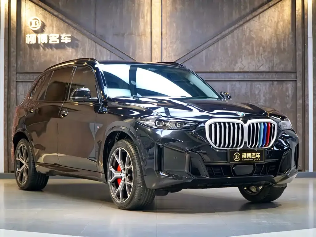 BMW X5 — фото 8
