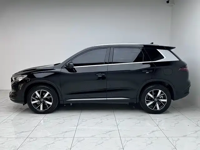 BYD Pro New Energy — фото 3