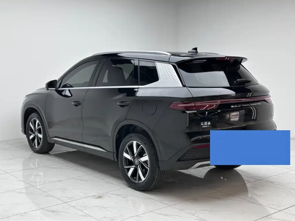 BYD Pro New Energy — фото 10
