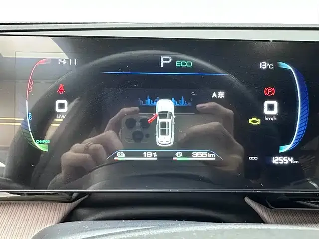 BYD Pro New Energy — фото 2