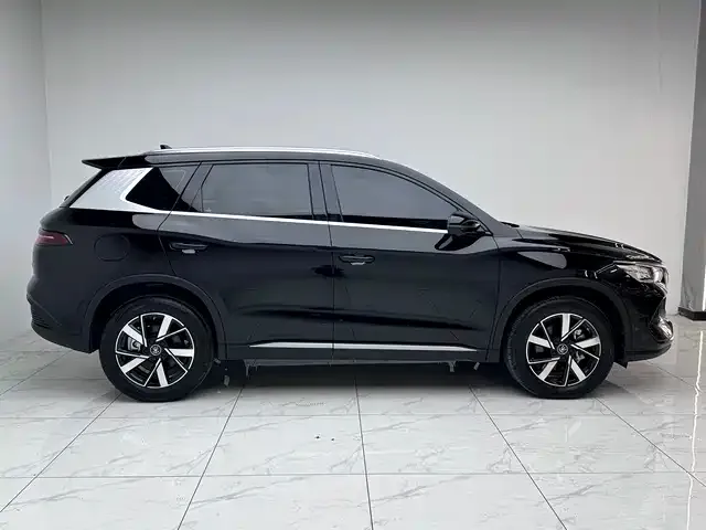 BYD Pro New Energy — фото 4