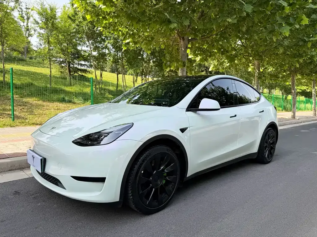 Tesla Model Y 2023 из CN, фото 1
