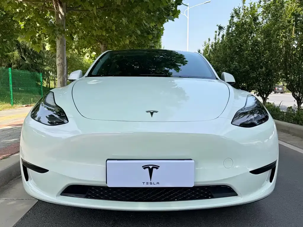 Tesla Model Y 2023 из CN, фото 2