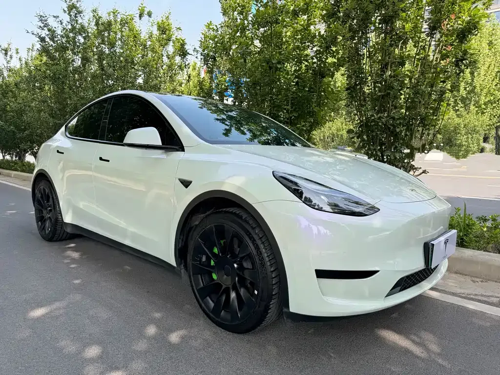 Tesla Model Y 2023 из CN, фото 9