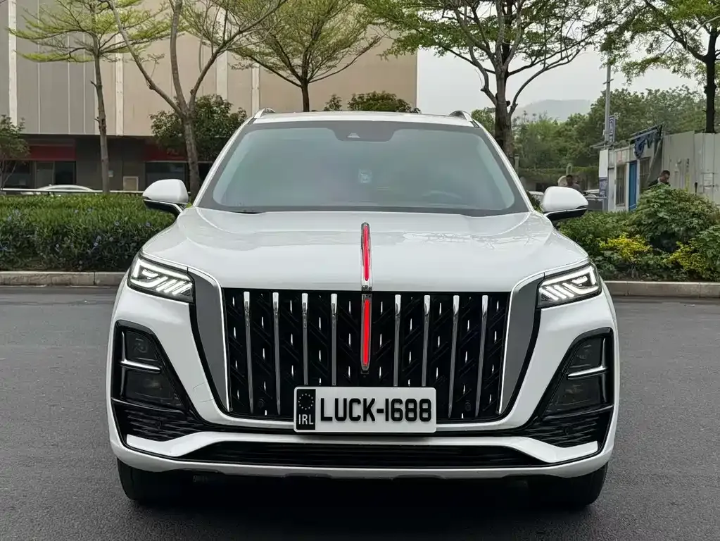 Hongqi HS5 2024 из CN, фото 8