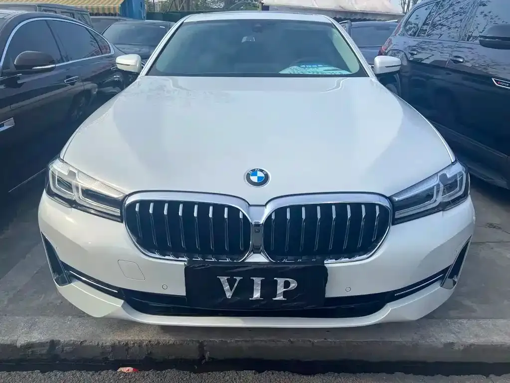 BMW 5 Series 2023 из CN, фото 5