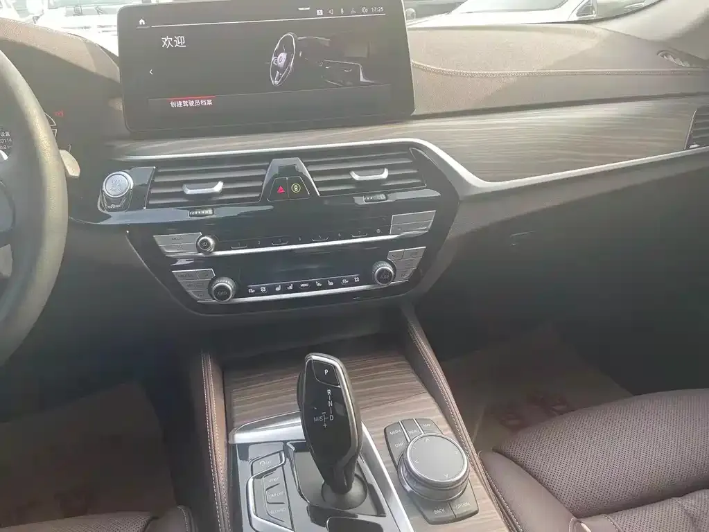 BMW 5 Series 2023 из CN, фото 9