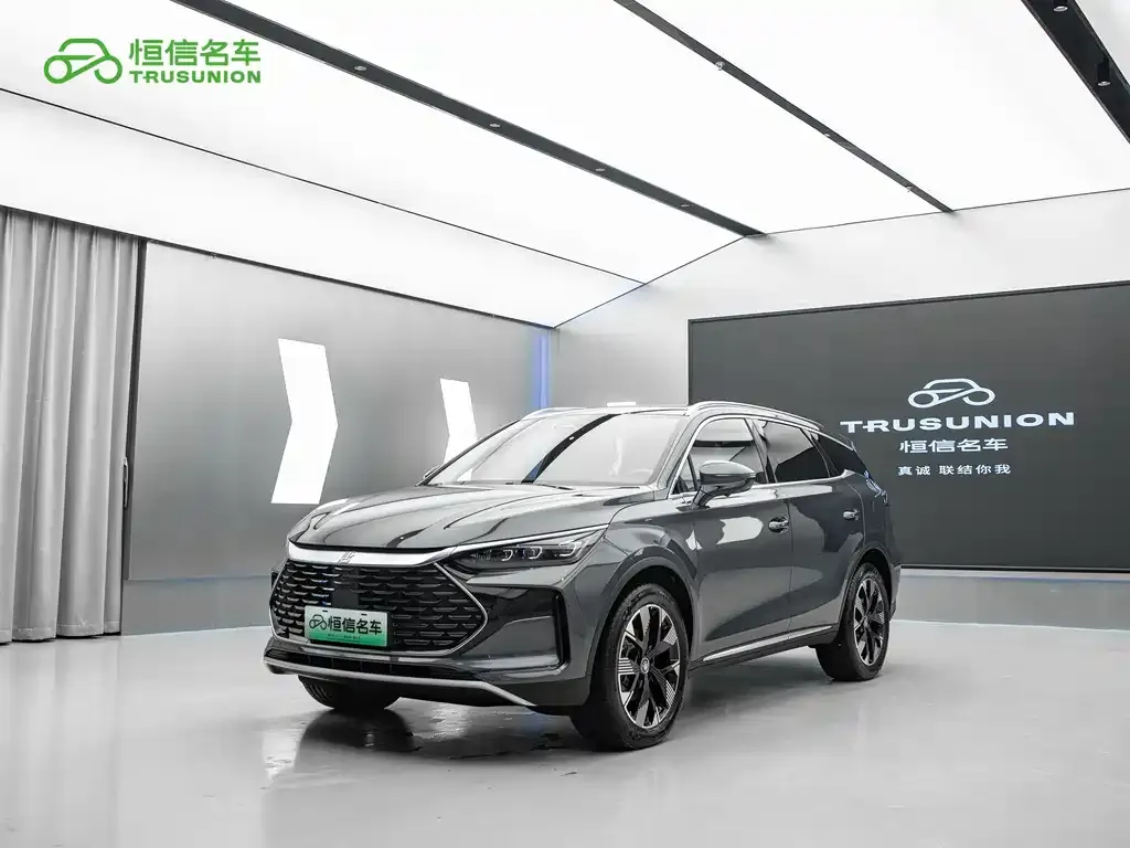 BYD Tang New Energy 2024 из CN, фото 1