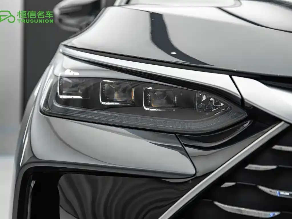 BYD Tang New Energy 2024 из CN, фото 8