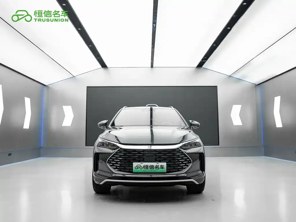 BYD Tang New Energy 2024 из CN, фото 5