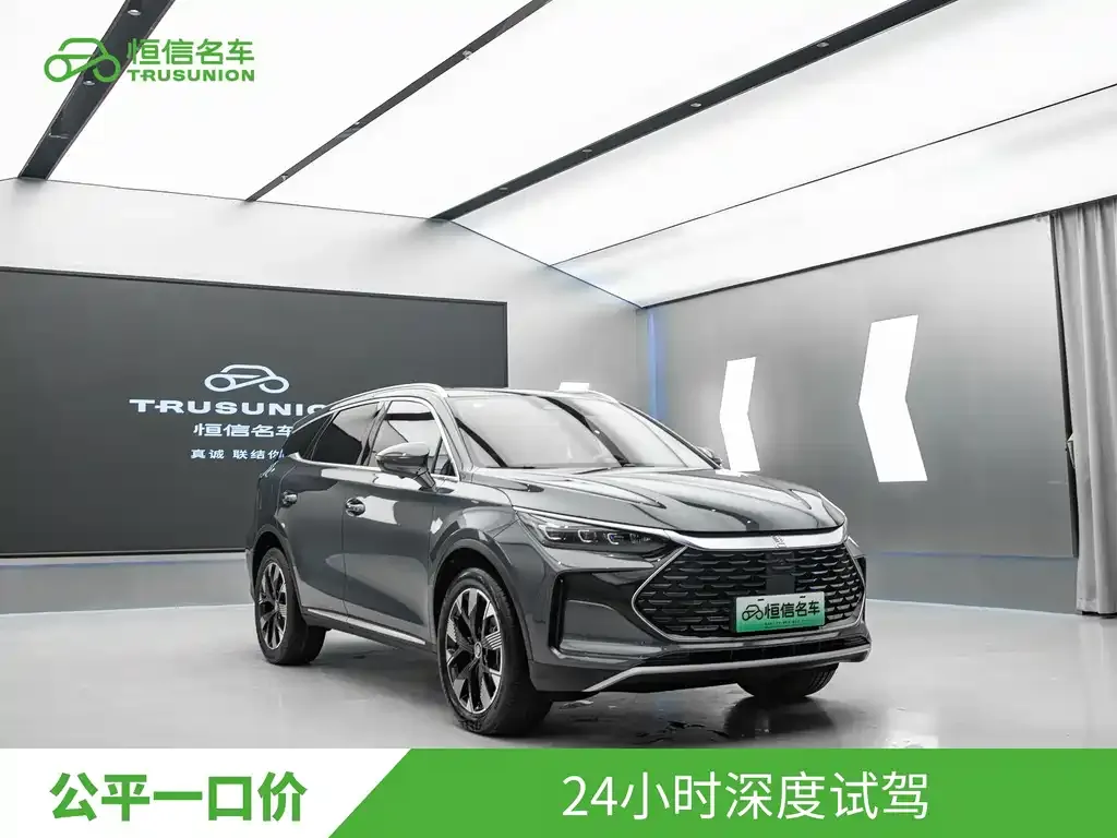 BYD Tang New Energy 2024 из CN, фото 4