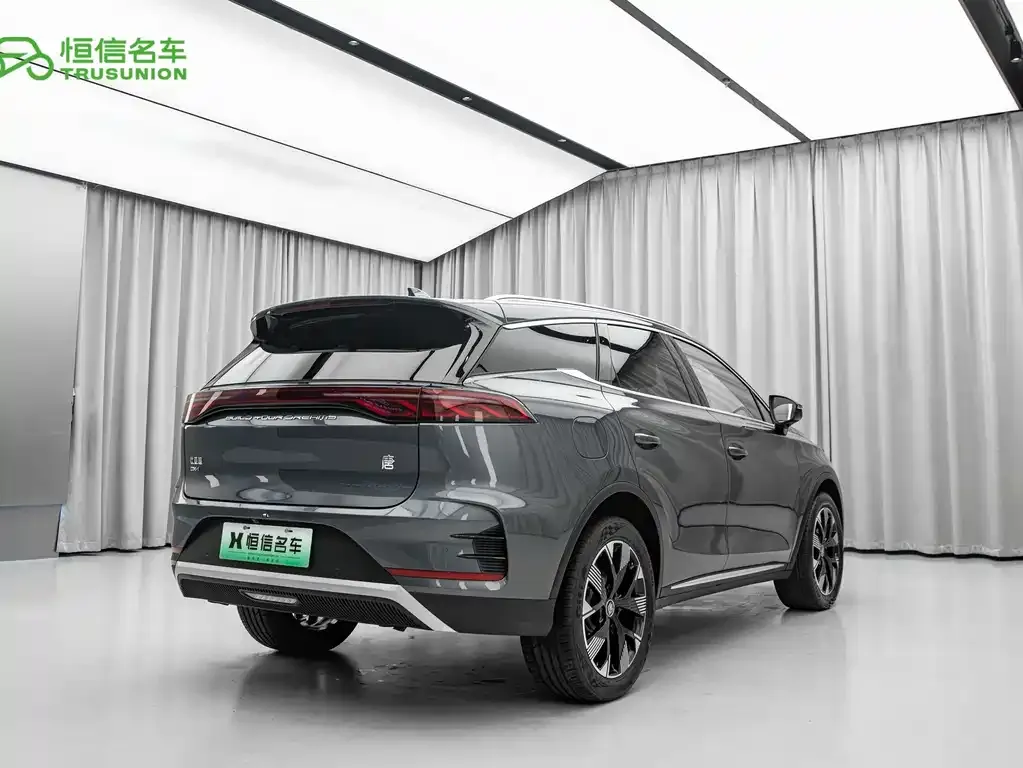 BYD Tang New Energy 2024 из CN, фото 3