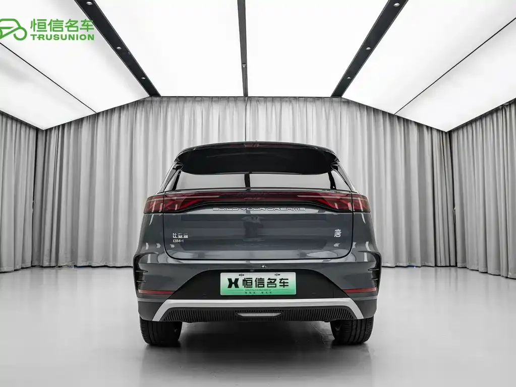 BYD Tang New Energy 2024 из CN, фото 2