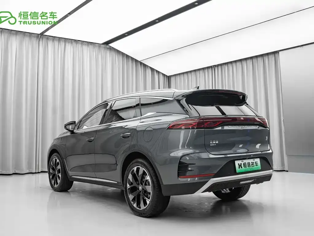 BYD Tang New Energy 2024 из CN, фото 7