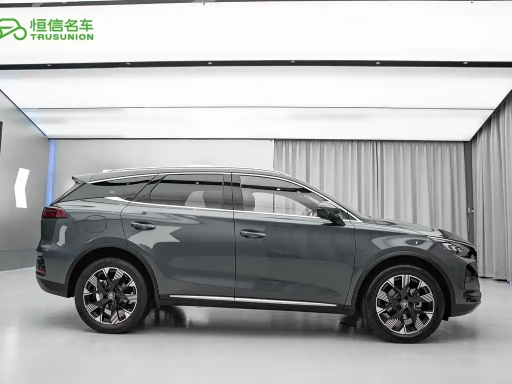 BYD Tang New Energy 2024 из CN, фото 6