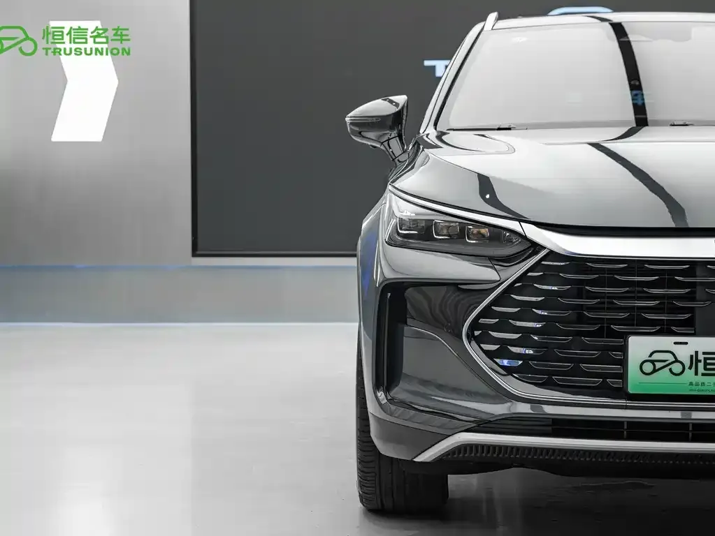 BYD Tang New Energy 2024 из CN, фото 9