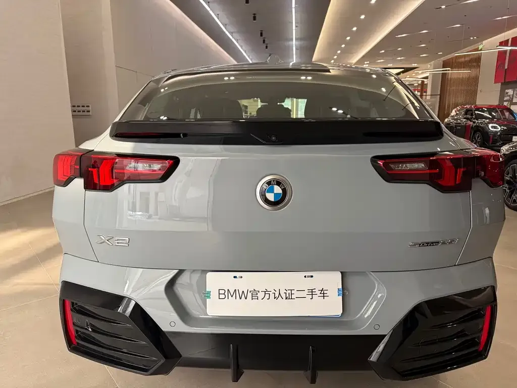BMW X2 (Import) 2025 из CN, фото 4