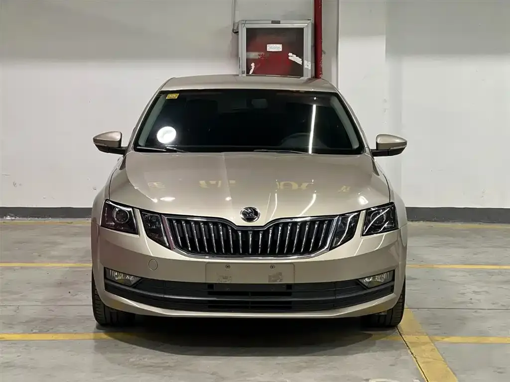 Skoda Octavia 2022 из CN, фото 2