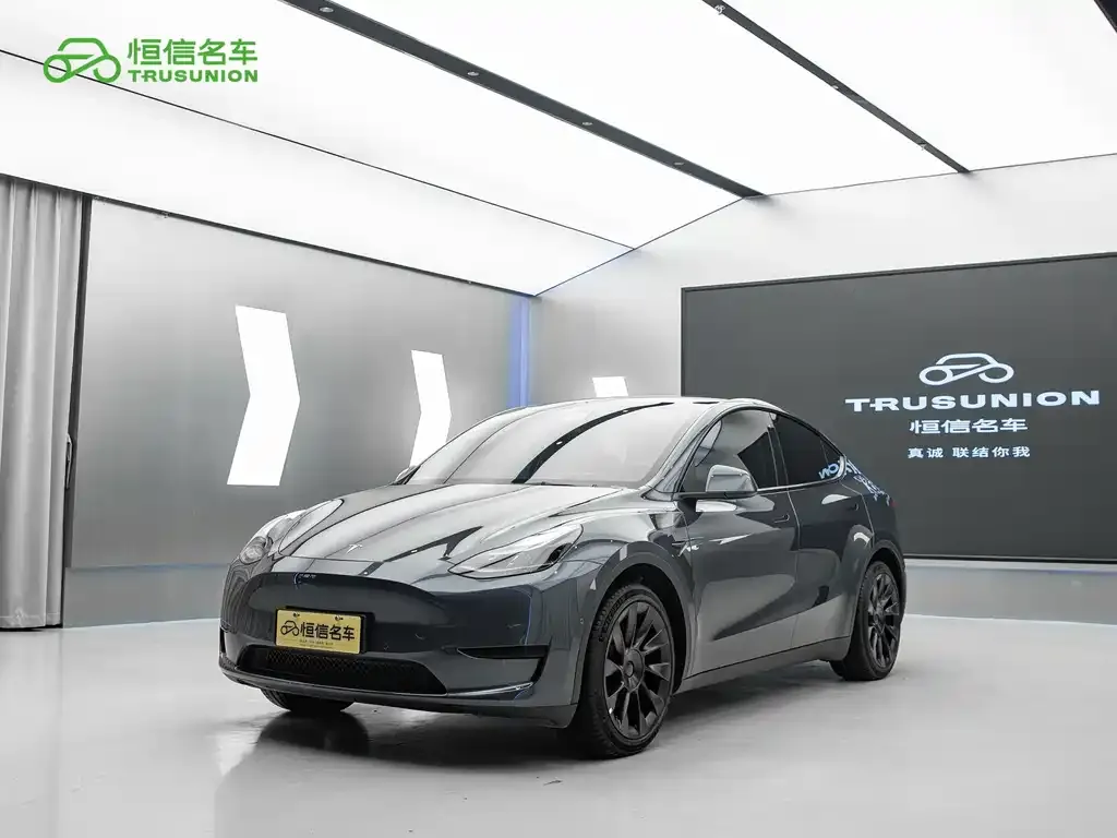 Tesla Model Y 2022 из CN, фото 1