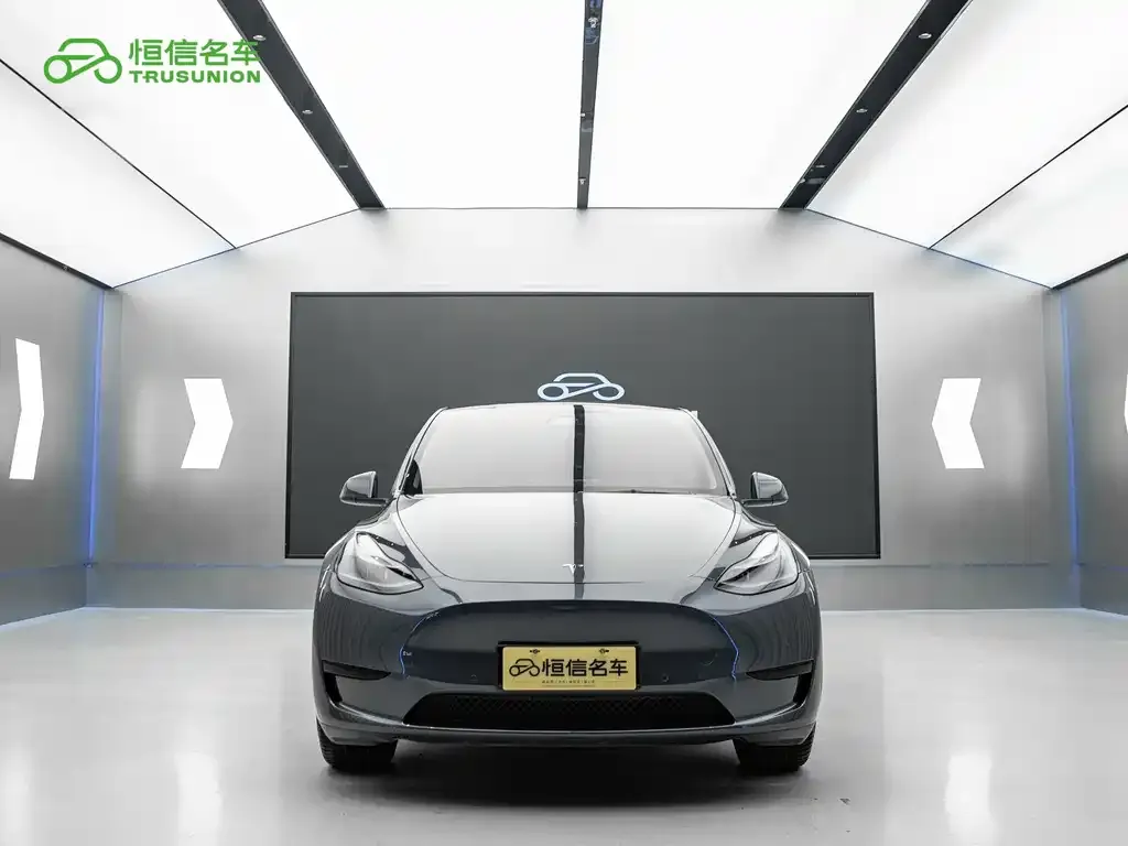 Tesla Model Y 2022 из CN, фото 7