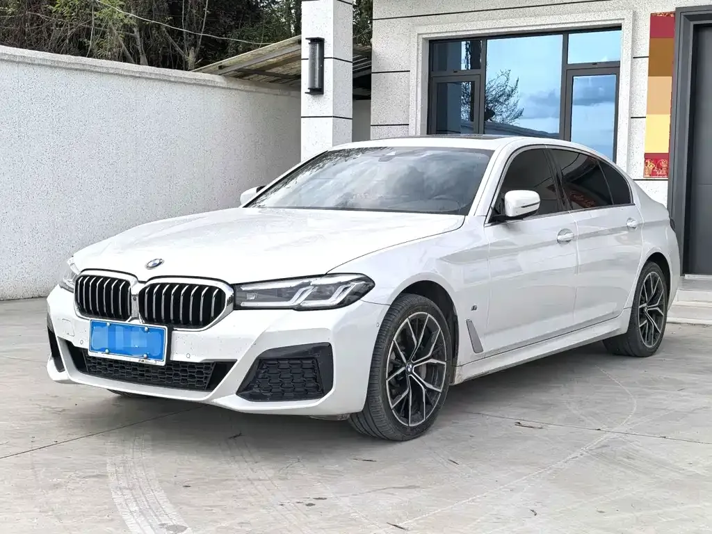 BMW 5 Series 2023 из CN, фото 1