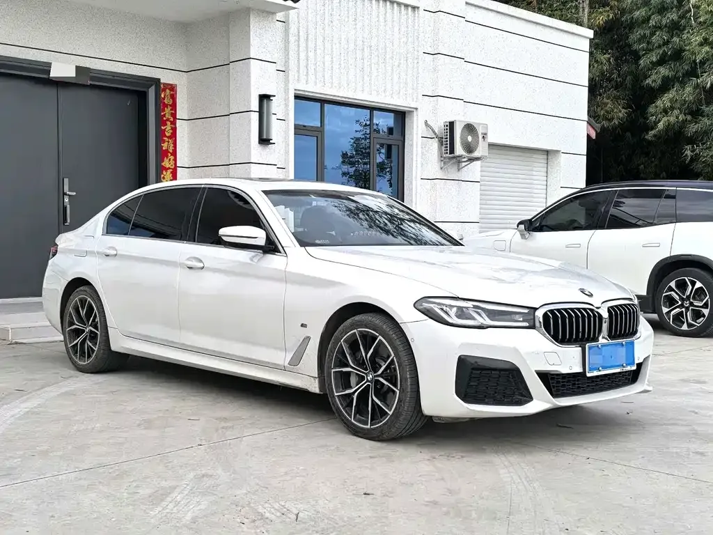 BMW 5 Series 2023 из CN, фото 5