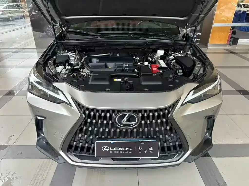 Lexus NX — фото 10