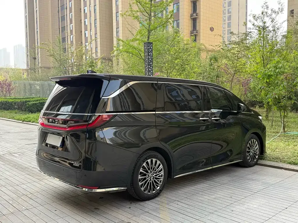 Lexus LM 2024 из CN, фото 10