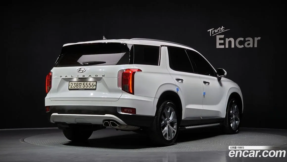 Hyundai Palisade 2021 из KR, фото 9