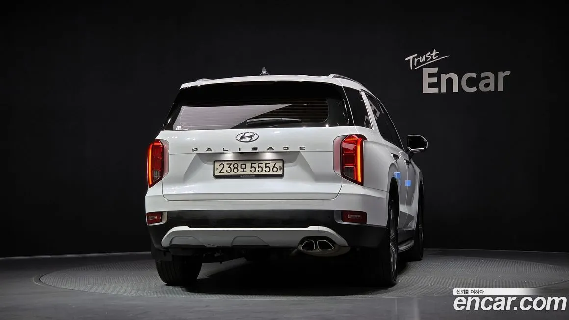 Hyundai Palisade 2021 из KR, фото 10