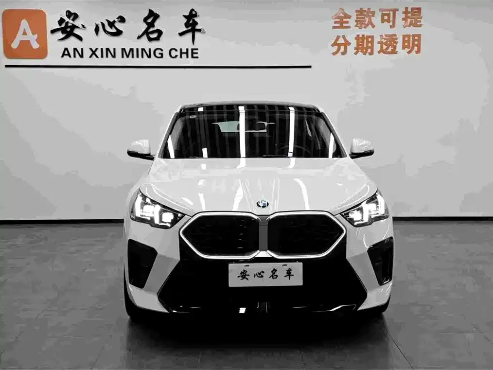 BMW X2 (Import) 2025 из CN, фото 5