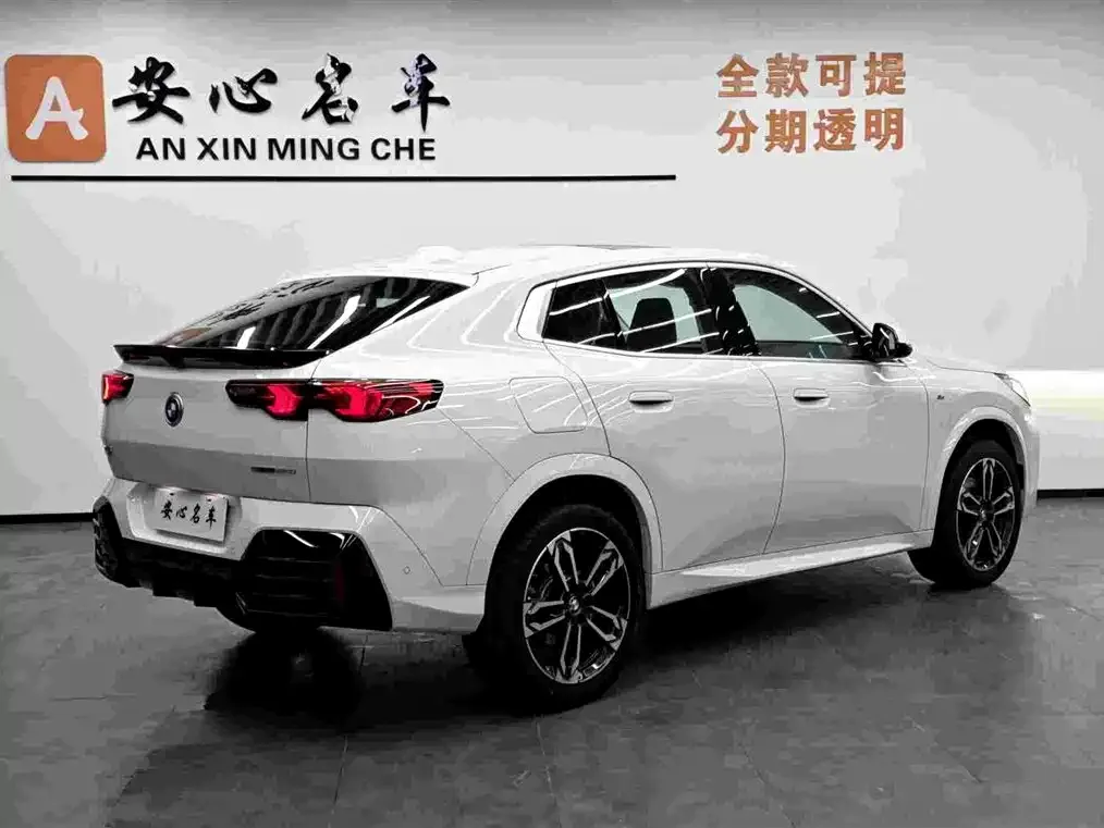 BMW X2 (Import) 2025 из CN, фото 4