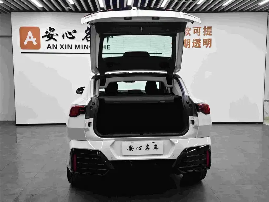 BMW X2 (Import) 2025 из CN, фото 3
