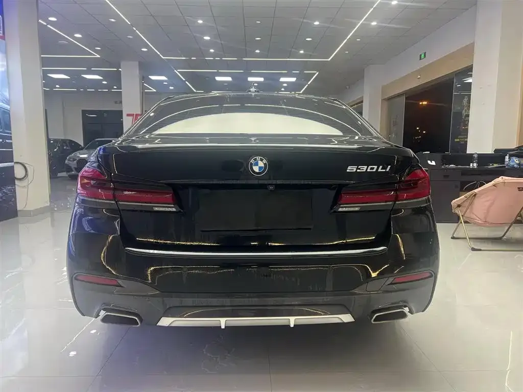 BMW 5 Series 2022 из CN, фото 7